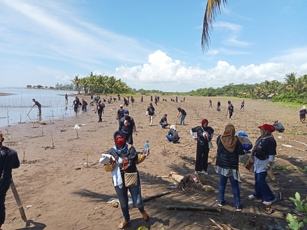 DGP8 Tanam 1000 Mangrove